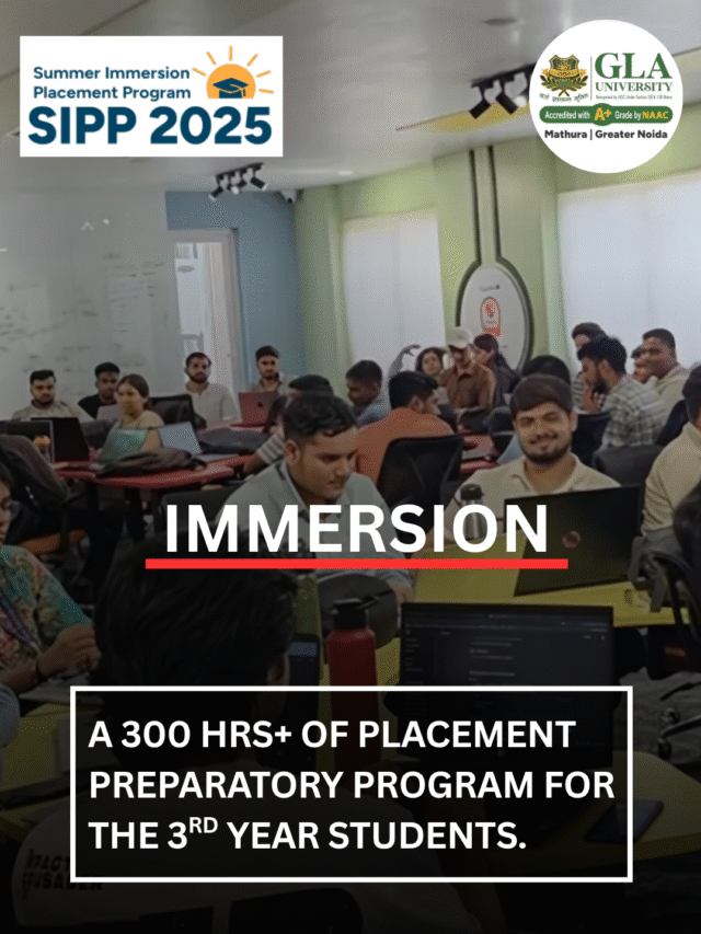 Immersion: Placement Preparatory Program